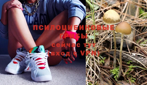 крисы Балабаново