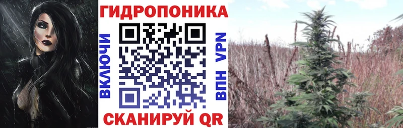 Конопля семена Ессентуки